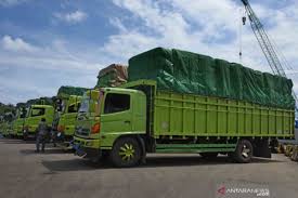 Distributor dan Supplier Cangkang Sawit: Peran Vital dalam Industri Biomassa
