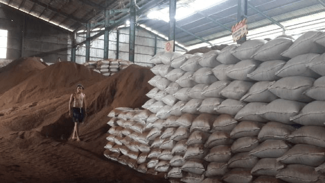 Pentingnya Distributor Cangkang dan Bungkil Sawit di Sulawesi