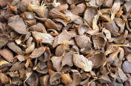 Mengenal Cangkang Sawit: Manfaat dan Pemanfaatannya