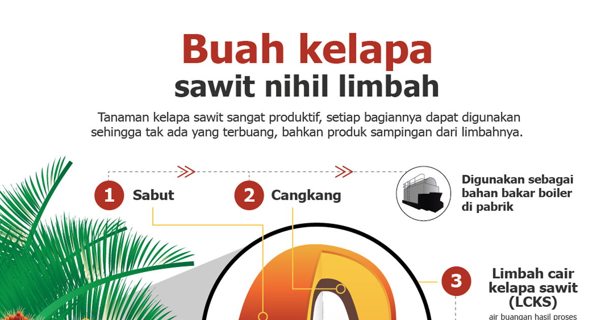 Produk Sampingan Kelapa Sawit : Pentingnya Peran Distributor  dalam Pasar Cangkang dan Bungkil Sawit di Sulawesi