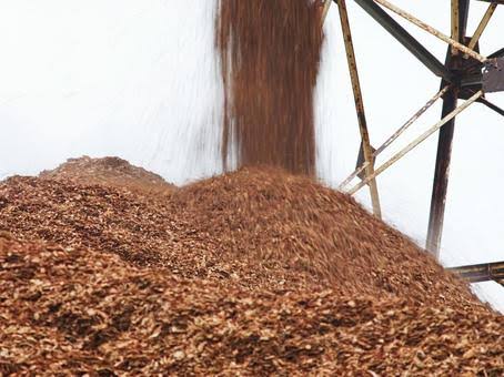 Bungkil Sawit: Sumber Protein Tinggi untuk Pakan Ternak