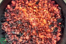 supplier cangkang sawit